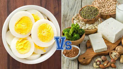 Vegetarian protein sources