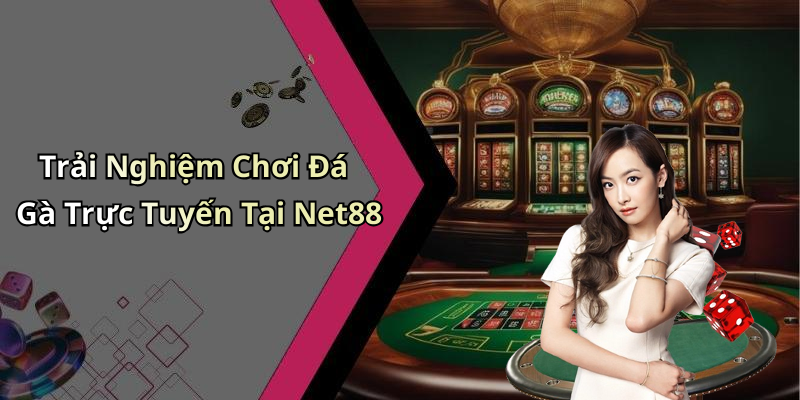 Trải Nghiệm Chơi Đá Gà Trực Tuyến Tại Net88