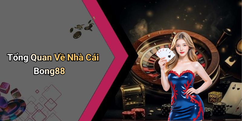 Tổng Quan Về Nhà Cái Bong88
