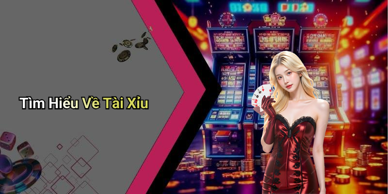 Tìm Hiểu Về Tài Xỉu