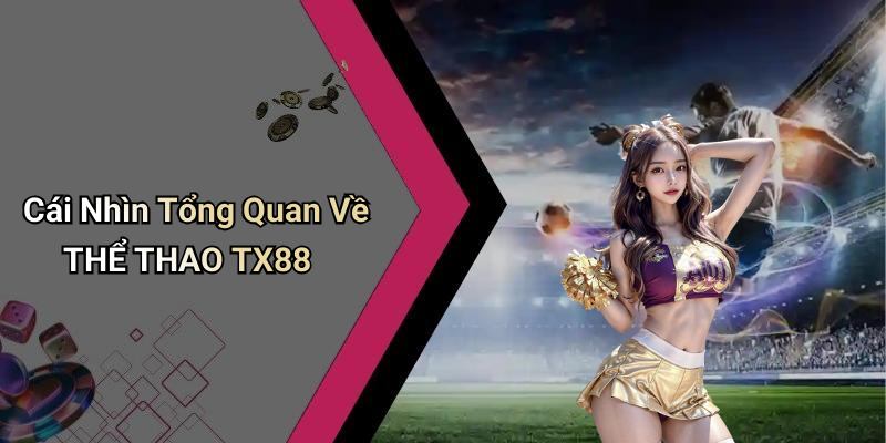 Cái Nhìn Tổng Quan Về THỂ THAO TX88