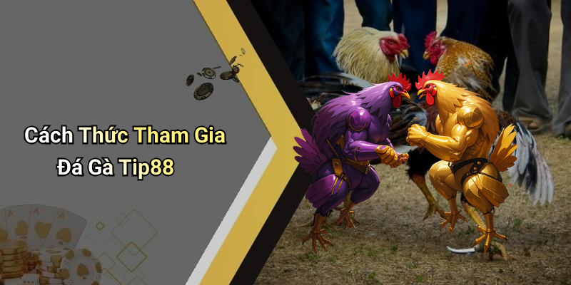Cách Thức Tham Gia Đá Gà Tip88