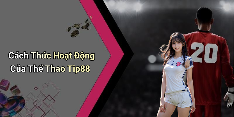 Cách Thức Hoạt Động Của Thể Thao Tip88