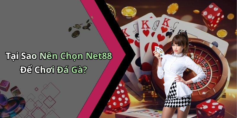Tại Sao Nên Chọn Net88 Để Chơi Đá Gà?